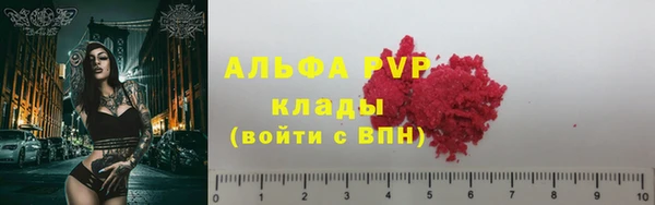 СК Богородск
