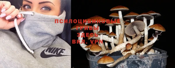 гашик Беломорск