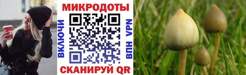 darknet какой сайт  Нариманов  Псилоцибиновые грибы прущие грибы  сколько стоит 